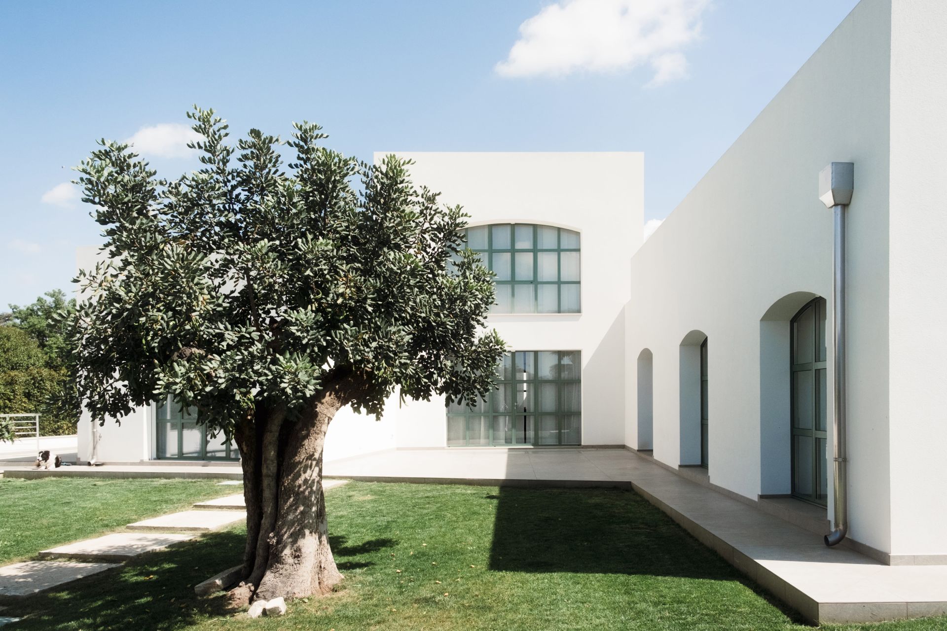 Casa Cristolese - Tricase | Lecce - image 4