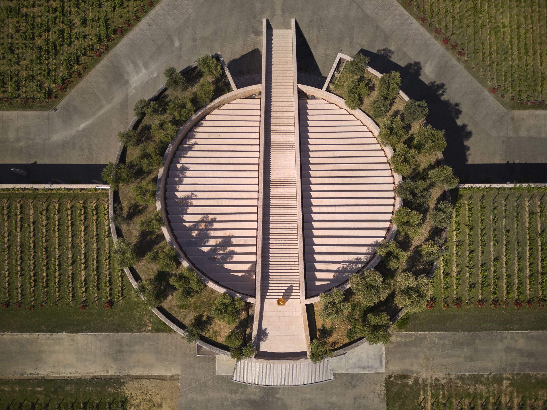 Petra Winery - image 1