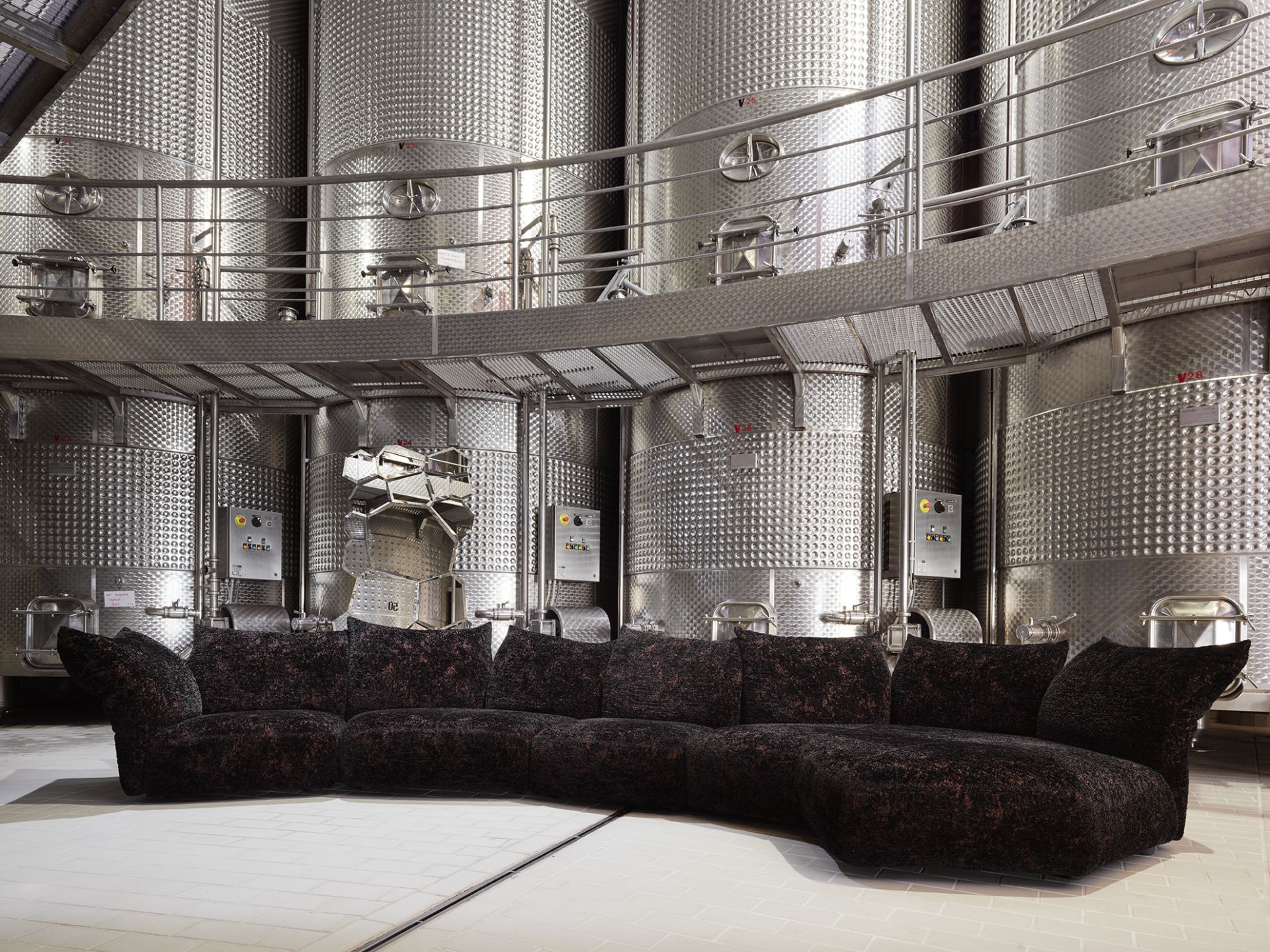 Petra Winery - image 5