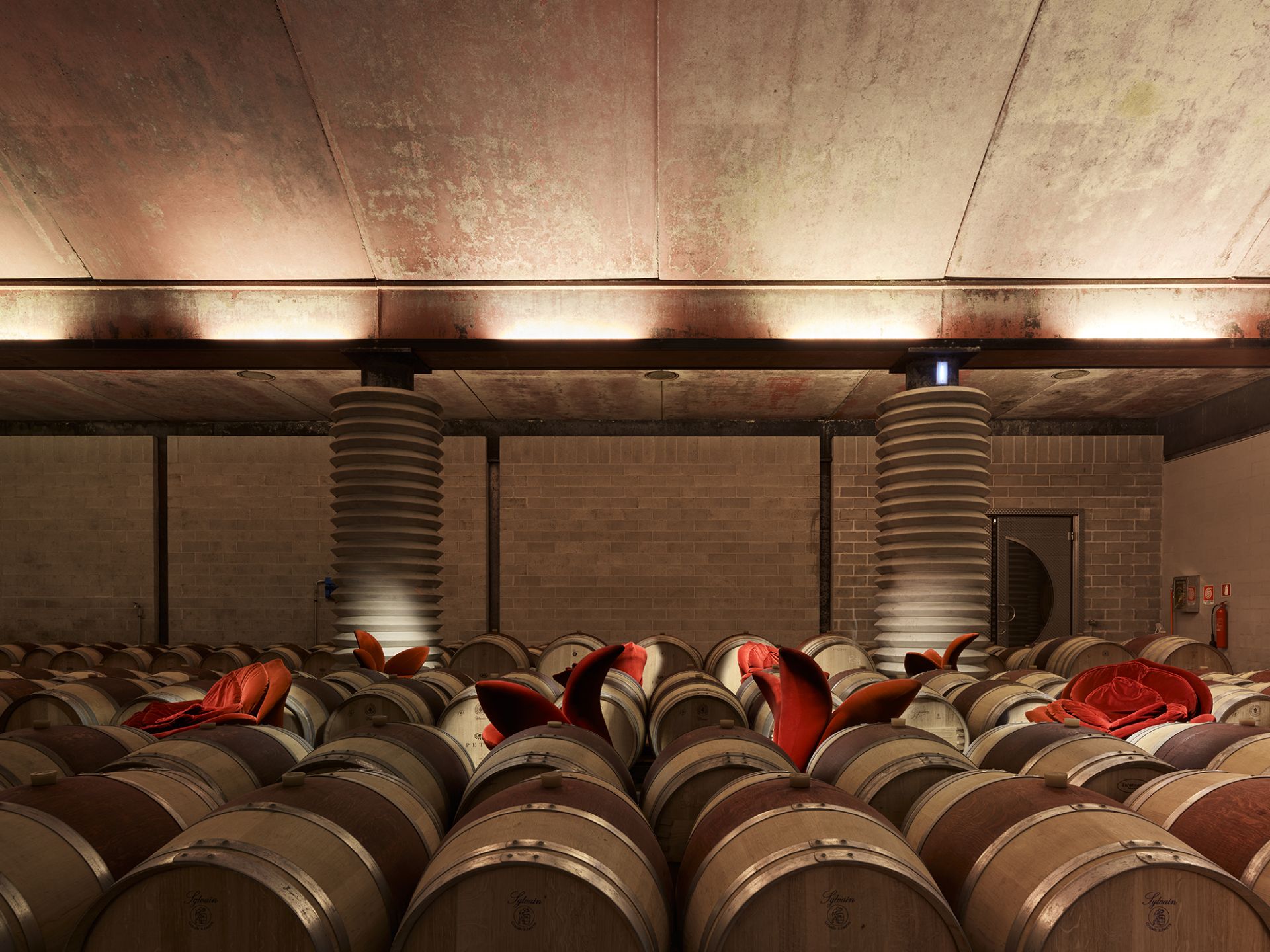 Petra Winery - image 10